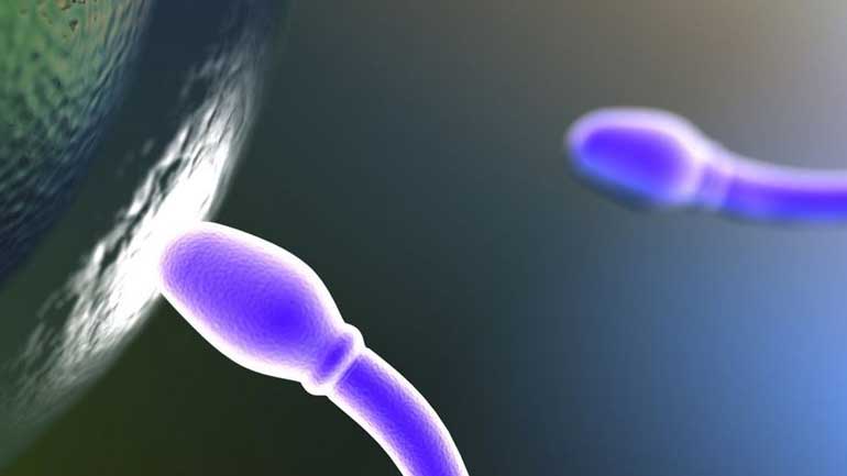 Νέα τεχνολογία επιλογής σπερματοζωαρίων